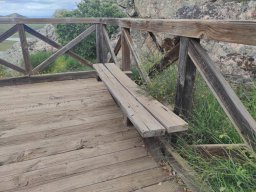 Flora del Cerro Masatrigo